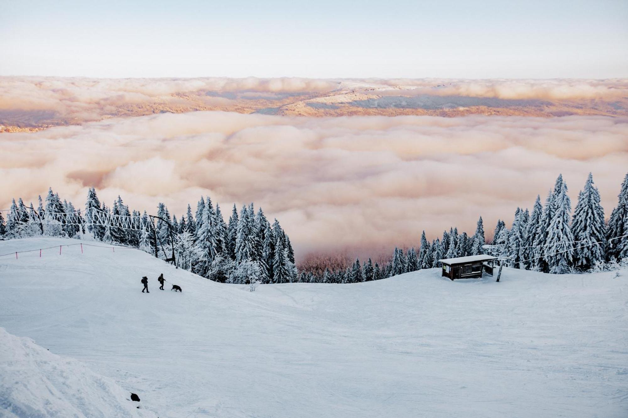 Orea Hotel Spicak Sumava Železná Ruda Exteriör bild